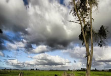 [国际足球]门前乱战 阿莱门前扫射梅开二度.