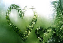 [体坛零距离]大卫·拉帕尔蒂安：国际奥委会成为连接各国的桥梁.