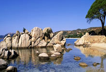 开元体育:50年来首次战胜中国队 日本女乒团称霸亚锦赛.